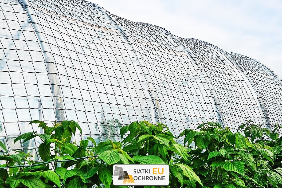   SiatkiOchronne.eu - Ochronne przykrycie na tunel uprawny zapewniające ochronę przed wiatrem 