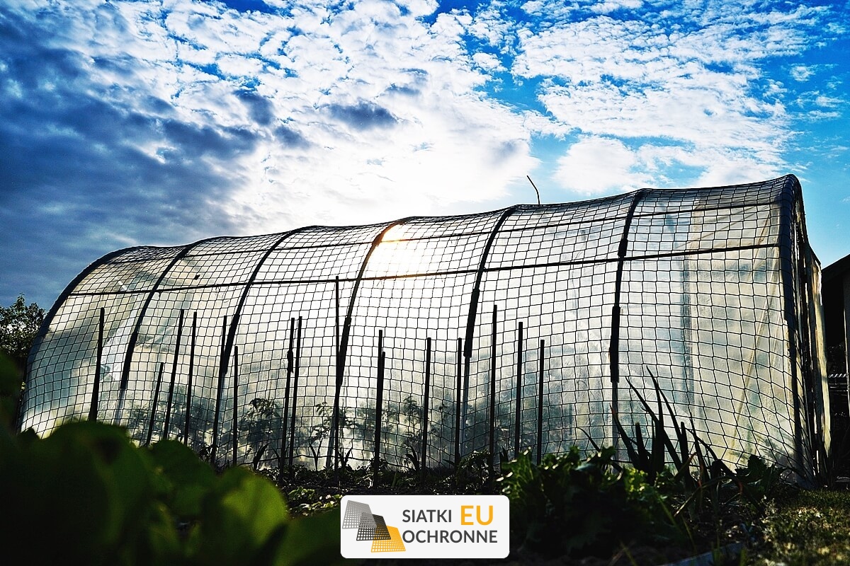   SiatkiOchronne.eu - Wzmocnienie tuneli foliowych — skuteczna ochrona przed silnym wiatrem 