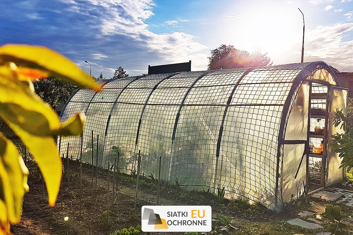Siatka na tunel foliowy Zabezpieczenie tunelu foliowego przed wiatrem SiatkiOchronne.eu - Siatka na tunel foliowy Zabezpieczenie tunelu foliowego przed wiatrem