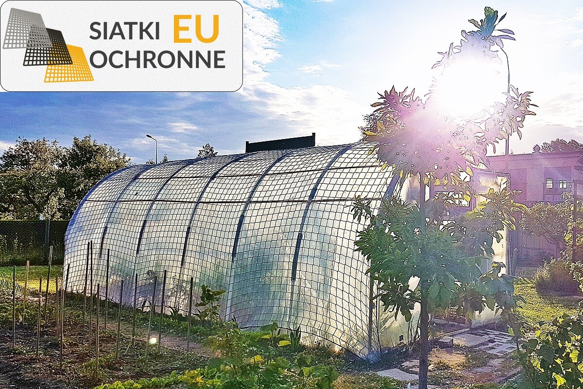 Chronić plony tunelowe przed podmuchami wiatru SiatkiOchronne.eu - Chronić plony tunelowe przed podmuchami wiatru