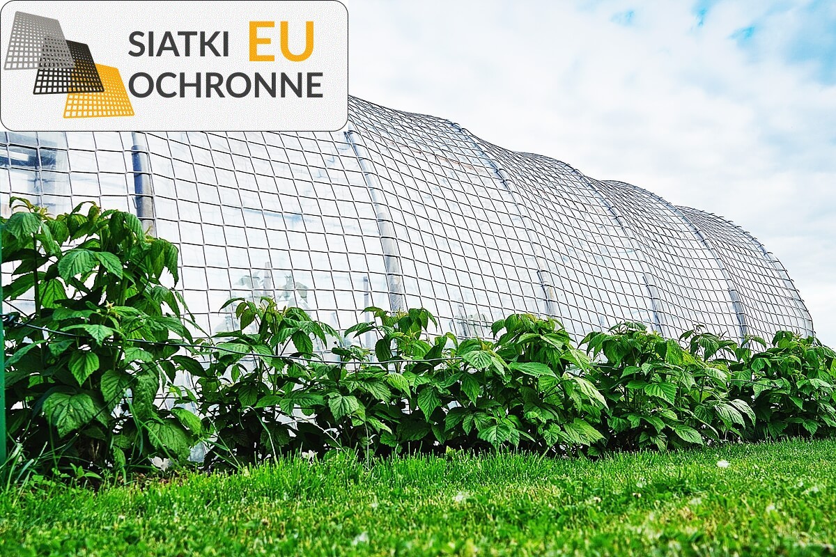 Wiatroodporna siatka wzmacniająca do tunelu foliowego SiatkiOchronne.eu - Wiatroodporna siatka wzmacniająca do tunelu foliowego