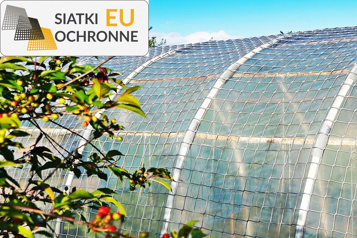 Ochronna siatka idealna do poszycia tunelu foliowego SiatkiOchronne.eu - Ochronna siatka idealna do poszycia tunelu foliowego