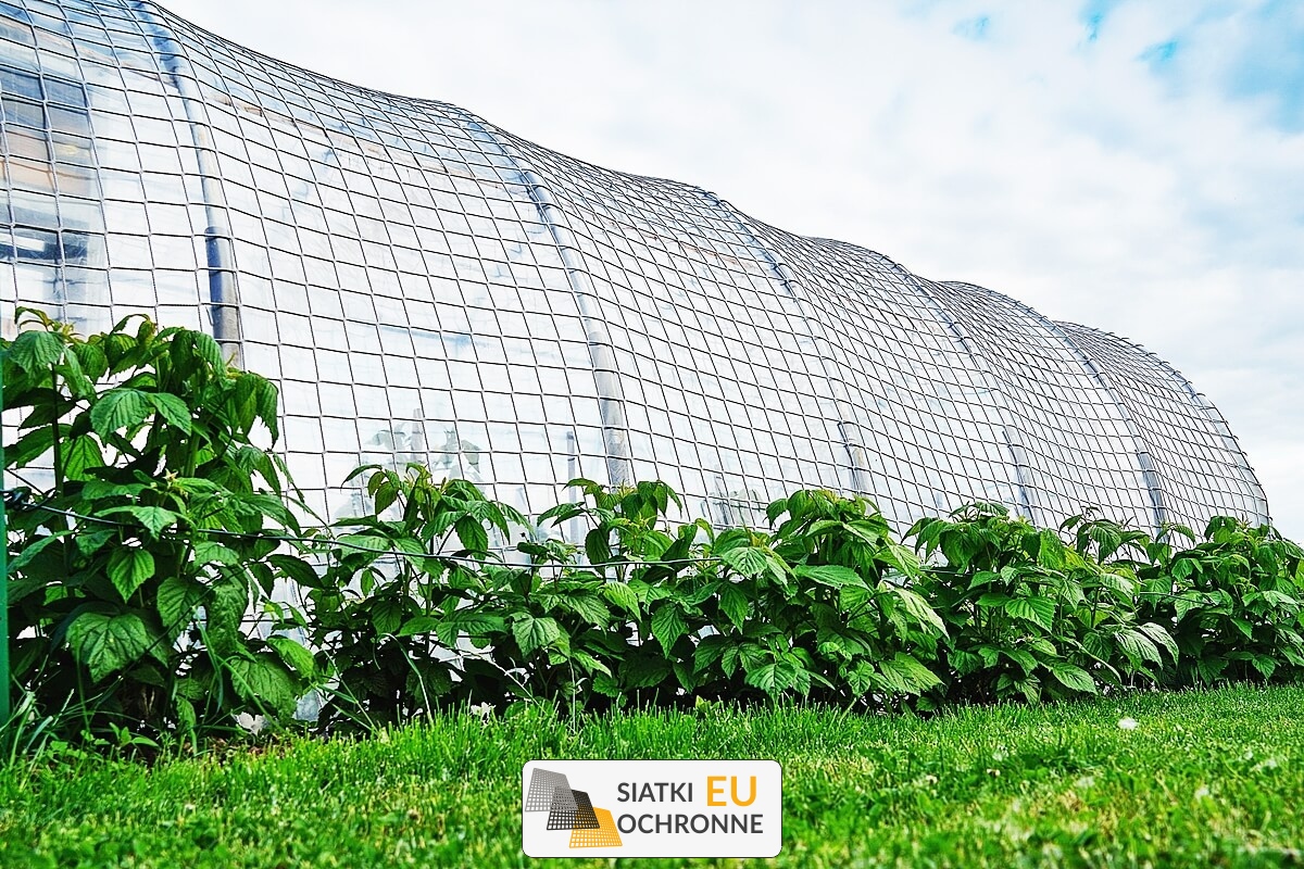   SiatkiOchronne.eu - Siatka wzmacniająca ochronna chroniąca przed podmuchami wiatru 