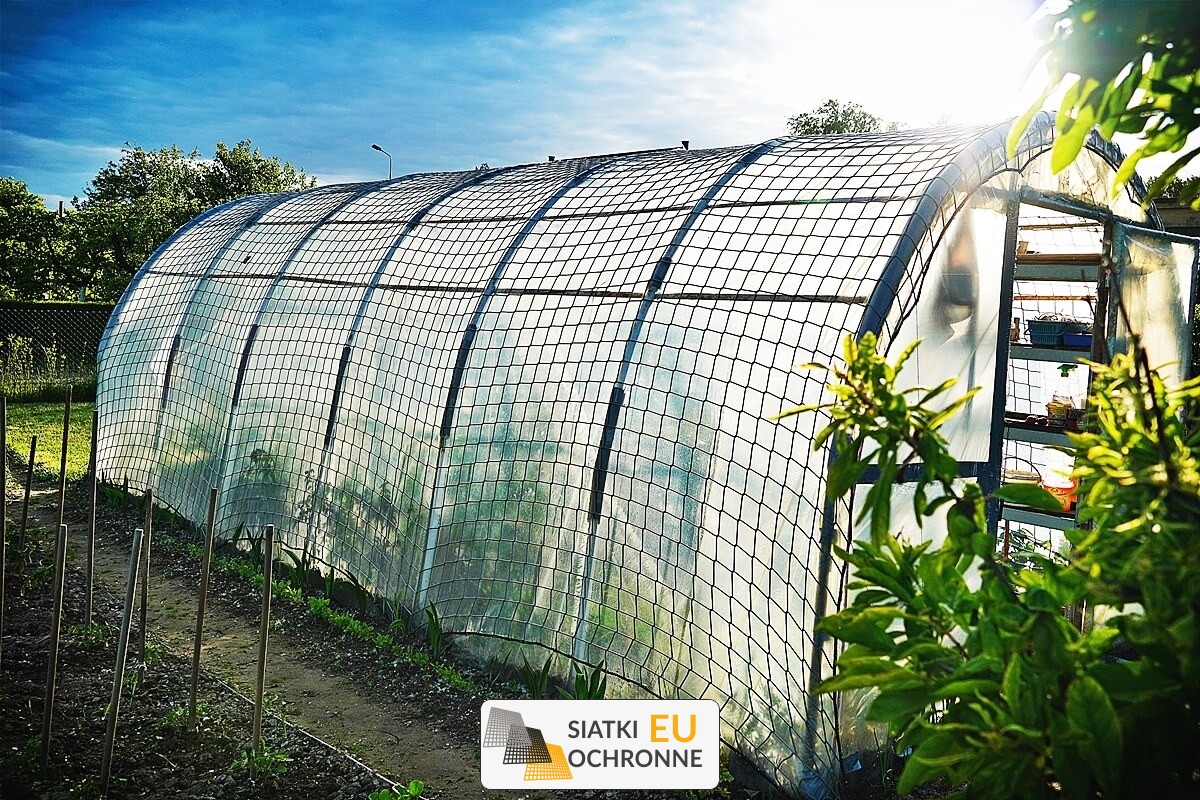   SiatkiOchronne.eu - Optymalna ochrona dla Twojego ogródka uprawnego - siatka do tunelu foliowego 