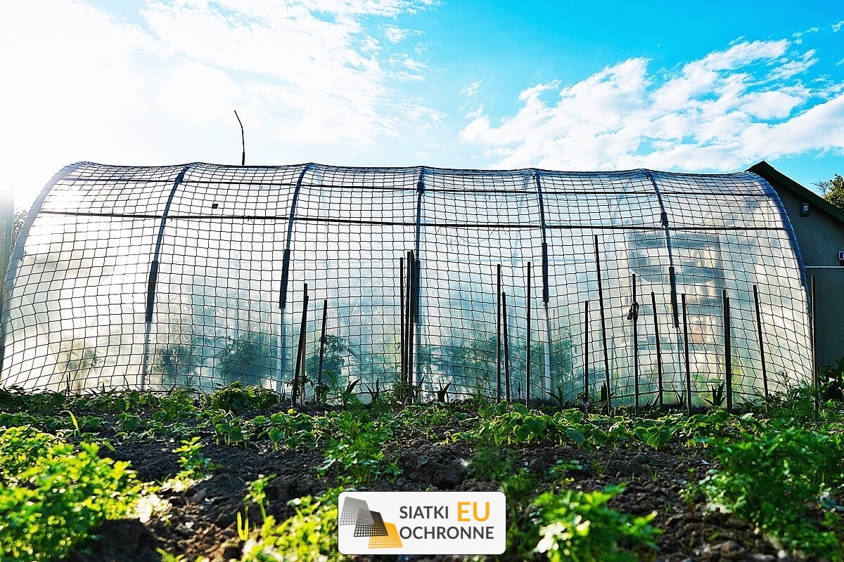 Ochronna siatka do poszycia tunelu foliowego SiatkiOchronne.eu - Ochronna siatka do poszycia tunelu foliowego