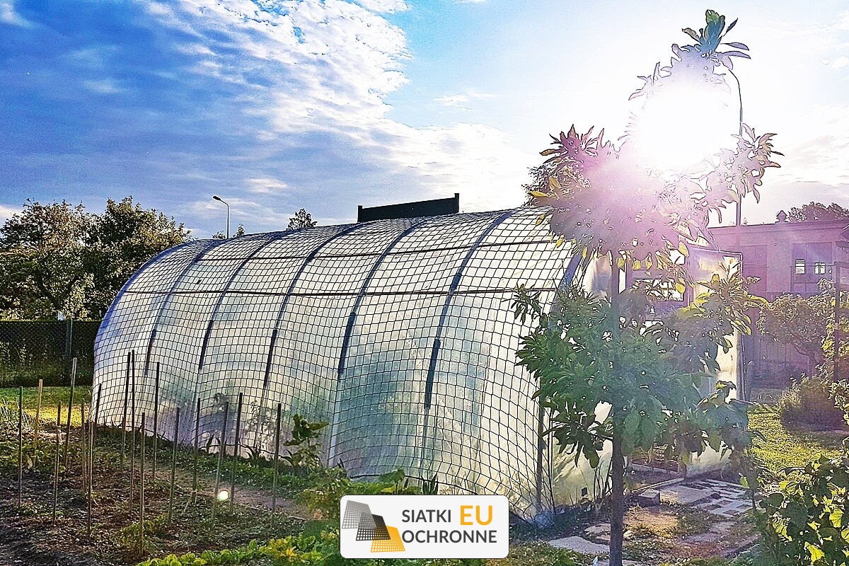   SiatkiOchronne.eu - Siatka odporna na silny wiatr dla ochrony tuneli foliowych 