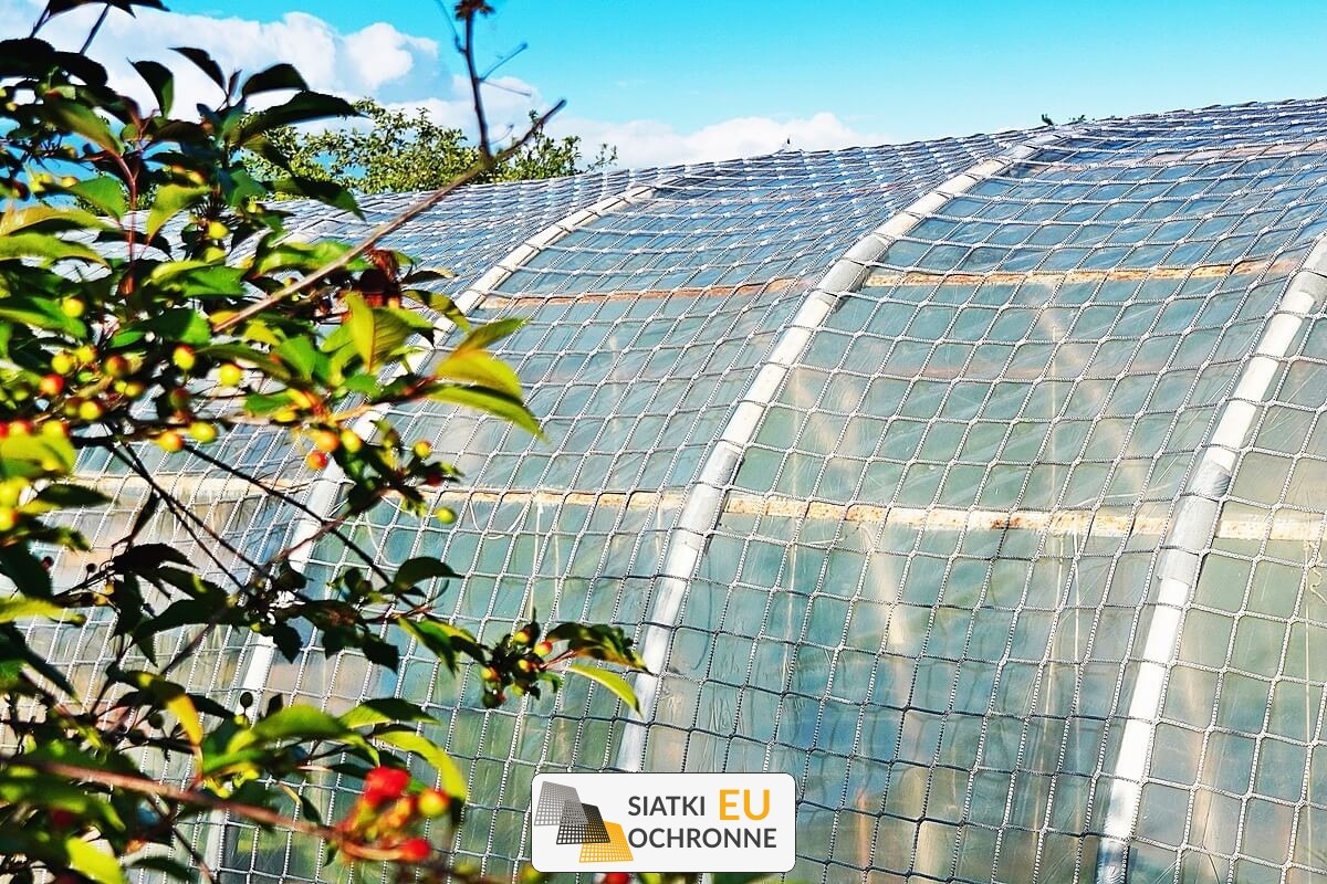 Ochronna siatka do poszycia tunelu foliowego SiatkiOchronne.eu - Ochronna siatka do poszycia tunelu foliowego