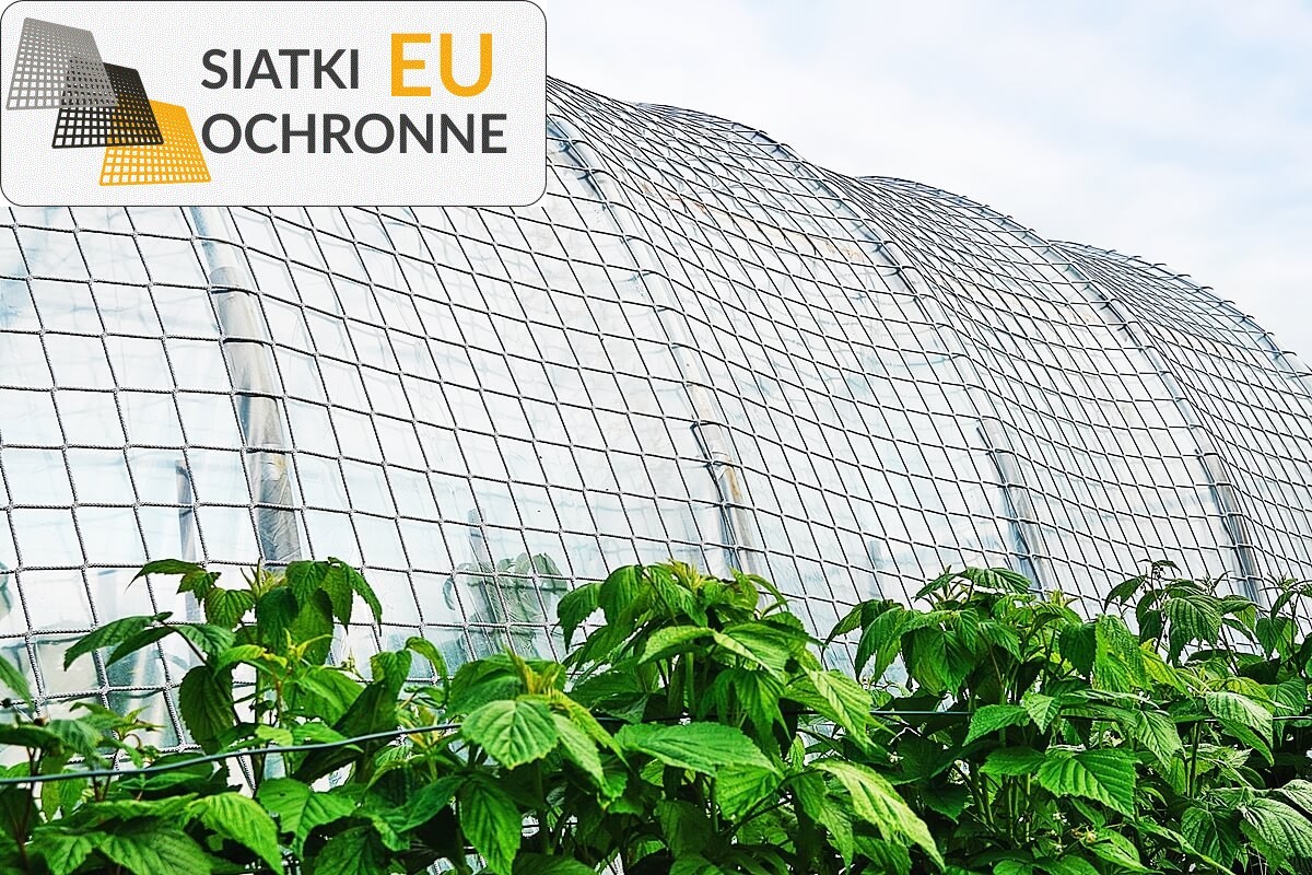 Siatka ochronna do zabezpieczania plonów SiatkiOchronne.eu - Siatka ochronna do zabezpieczania plonów