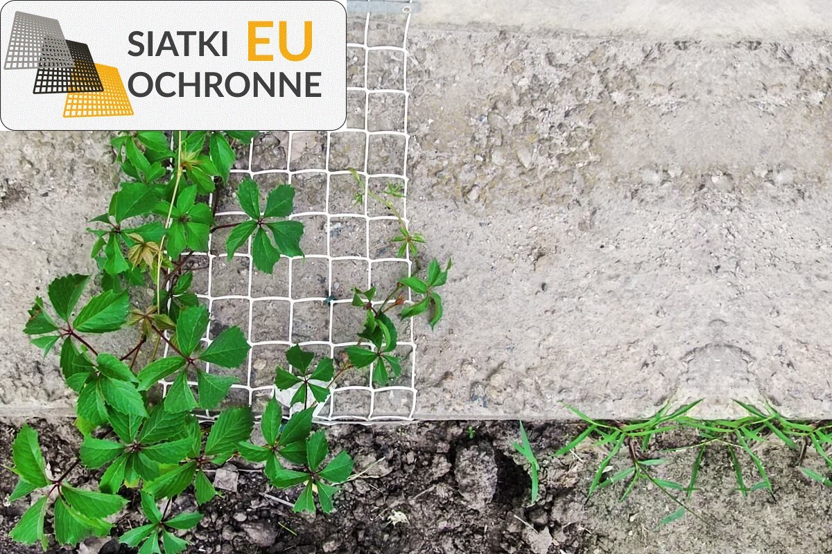 Siatka ochronna dla hodowli roślin SiatkiOchronne.eu - Siatka ochronna dla hodowli roślin