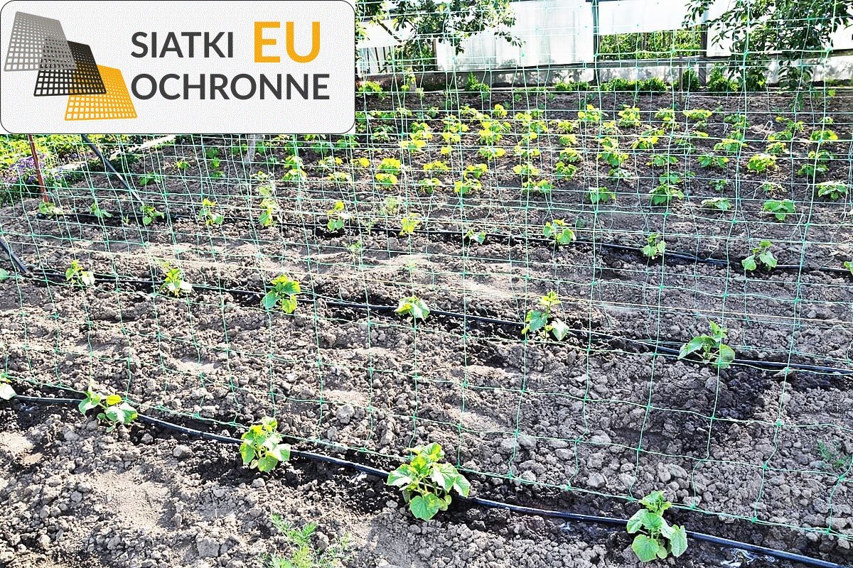 Siatka ochronna do zabezpieczania plonów SiatkiOchronne.eu - Siatka ochronna do zabezpieczania plonów