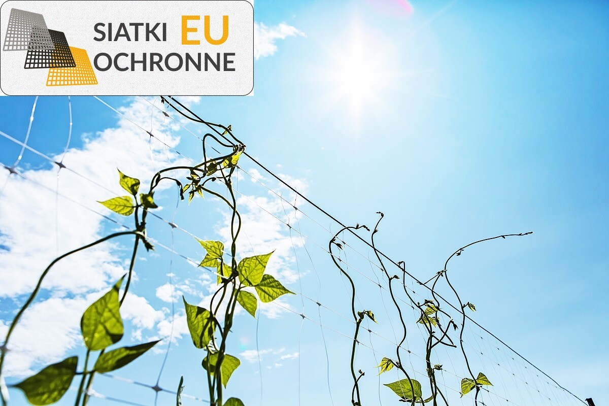 Ochrona Twoich upraw roślin za pomocą siatki sznurkowej SiatkiOchronne.eu - Ochrona Twoich upraw roślin za pomocą siatki sznurkowej
