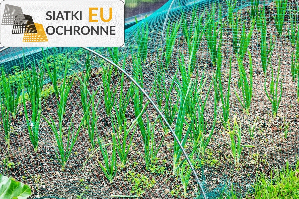 Bezpieczeństwo upraw dzięki siatce ochronnej SiatkiOchronne.eu - Bezpieczeństwo upraw dzięki siatce ochronnej