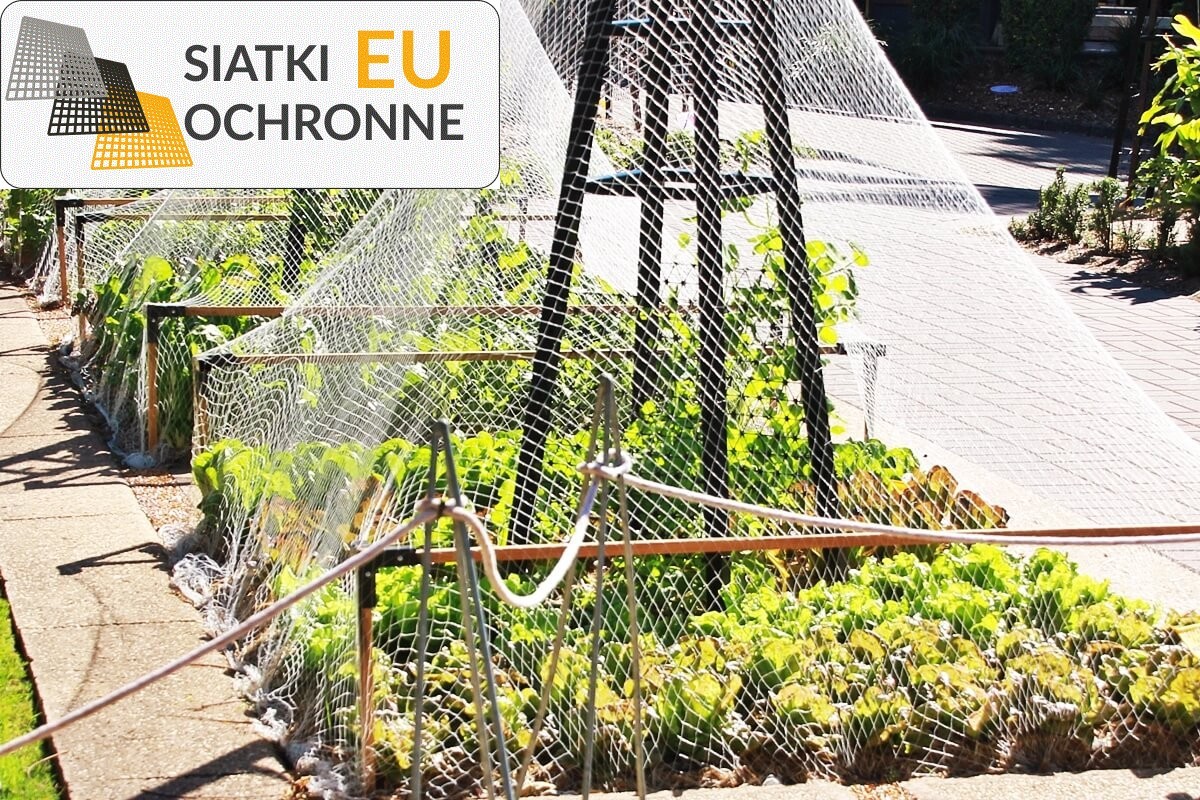 Zapewniające zdrowe plony zabezpieczenie dla Twojej uprawy SiatkiOchronne.eu - Zapewniające zdrowe plony zabezpieczenie dla Twojej uprawy
