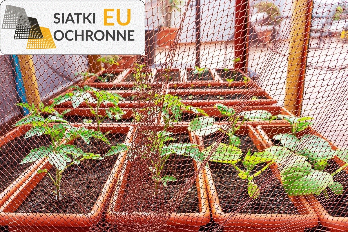 Chronić plantacje z użyciem siatek sznurkowych odporne na pogodę SiatkiOchronne.eu - Chronić plantacje z użyciem siatek sznurkowych odporne na pogodę