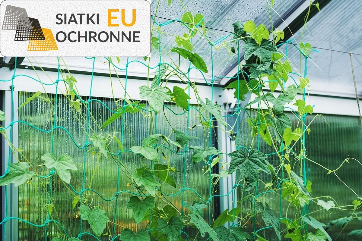 Ochrona Roślin Uprawnych - Bezpieczne Zabezpieczenie SiatkiOchronne.eu - Ochrona Roślin Uprawnych - Bezpieczne Zabezpieczenie
