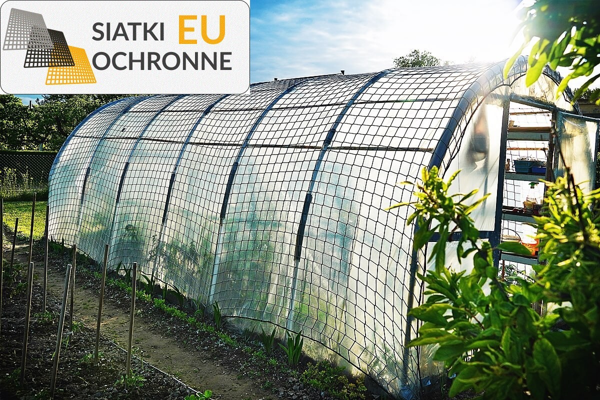 Chron swój zbiór warzyw przy użyciu ochronnej siatki sznurkowej SiatkiOchronne.eu - Chron swój zbiór warzyw przy użyciu ochronnej siatki sznurkowej
