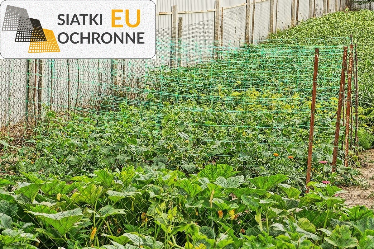 Sznurkowe siatki ochronne dla Twoich roślin uprawnych SiatkiOchronne.eu - Sznurkowe siatki ochronne dla Twoich roślin uprawnych