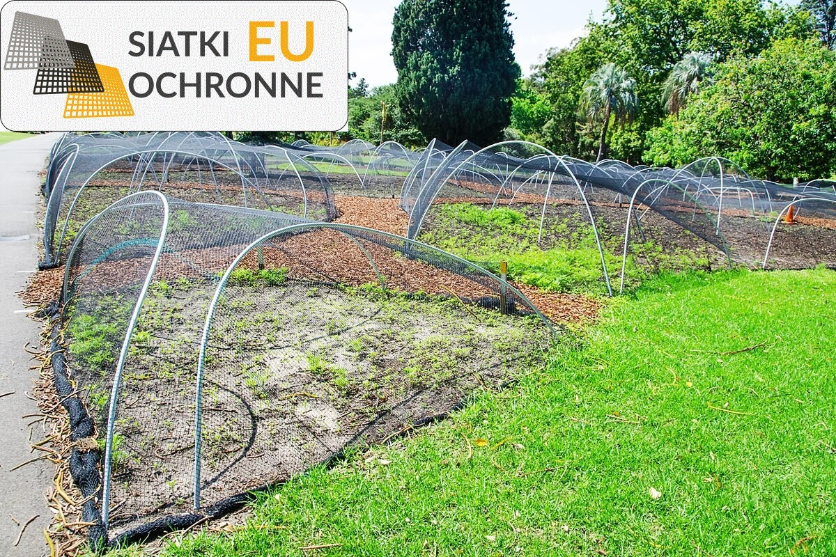   SiatkiOchronne.eu - Idealna ochrona Twojego ogrodu: siatka do zabezpieczenia roślin 