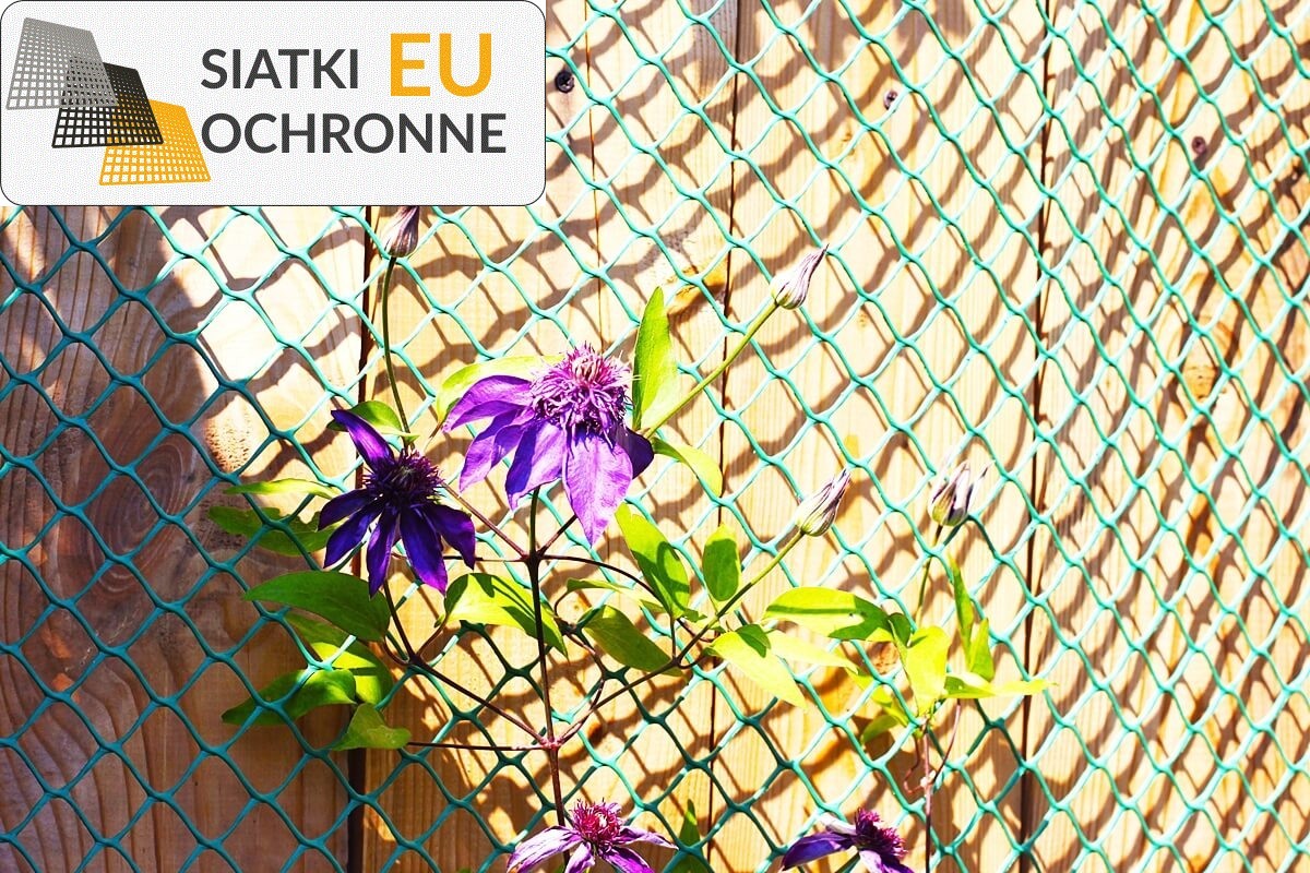 Ochrona Twojego zielonego zakątka — sprawdzona siatka na rośliny SiatkiOchronne.eu - Ochrona Twojego zielonego zakątka — sprawdzona siatka na rośliny