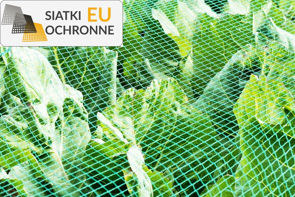 Bezpieczne zabezpieczanie upraw - Twoja roślina mniej narażona na szkodniki SiatkiOchronne.eu - Bezpieczne zabezpieczanie upraw - Twoja roślina mniej narażona na szkodniki