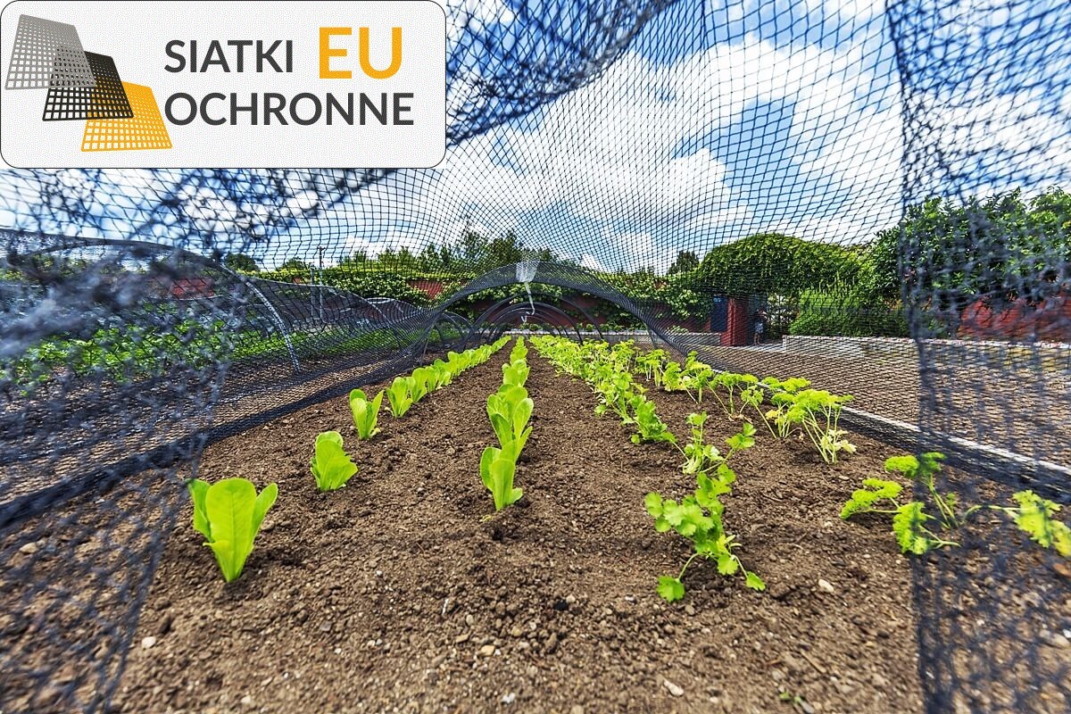   SiatkiOchronne.eu - Wytrzymałe, a jednocześnie delikatne dla roślin siatki ogrodowe idealne do ochrony Twojego zieleni 