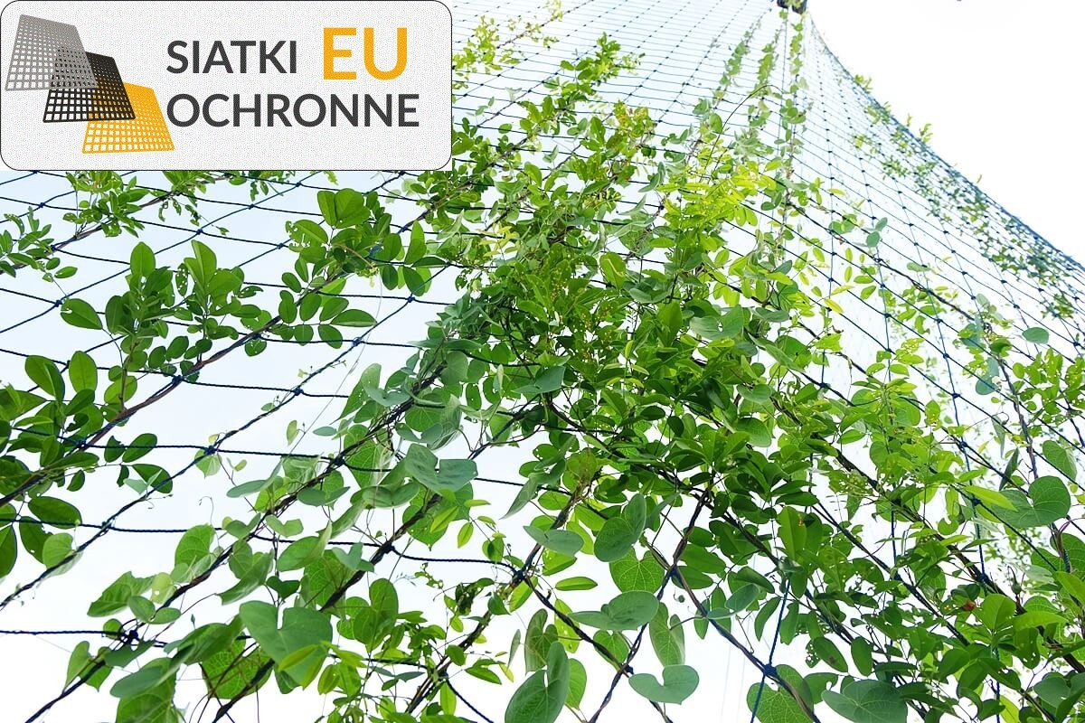 Bezpieczna ochrona Twoich roślin dzięki siatkom sznurkowym SiatkiOchronne.eu - Bezpieczna ochrona Twoich roślin dzięki siatkom sznurkowym