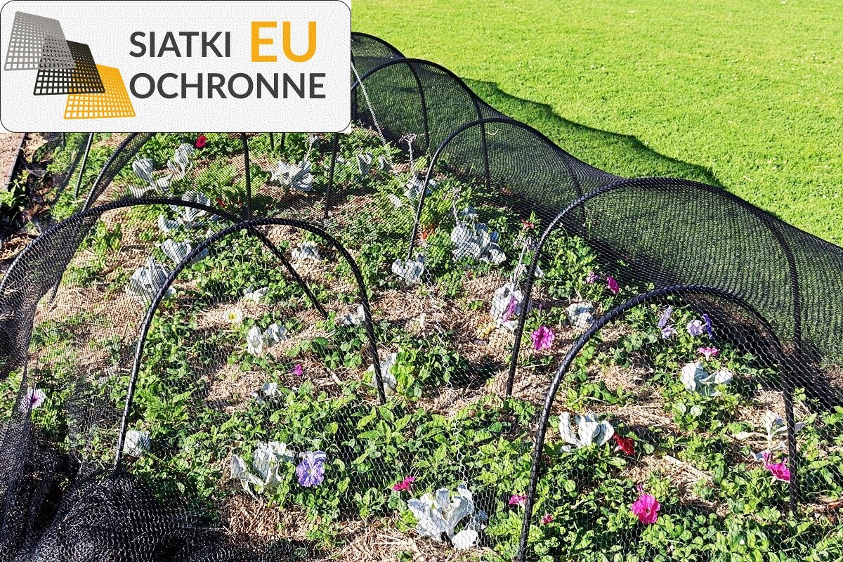   SiatkiOchronne.eu - Sznurkowe siatki do ochrony upraw w ogrodzie 