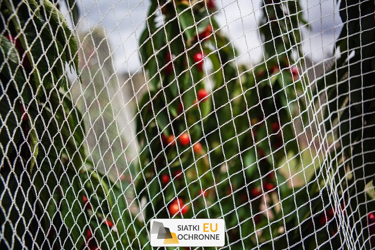 Zabezpieczenie dla Twoich roślin — wydajna siatka na uprawy SiatkiOchronne.eu - Zabezpieczenie dla Twoich roślin — wydajna siatka na uprawy