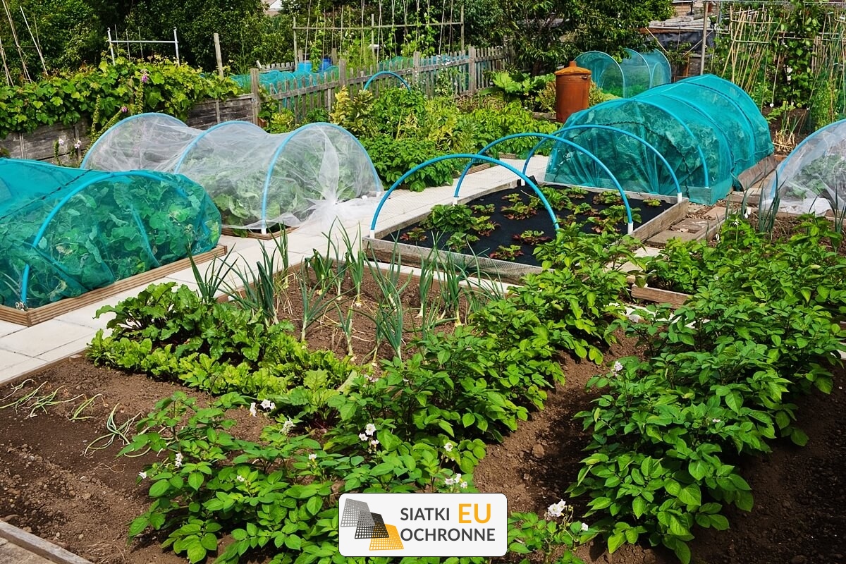 Siatka zabezpieczająca rośliny w Twoim ogrodzie SiatkiOchronne.eu - Siatka zabezpieczająca rośliny w Twoim ogrodzie