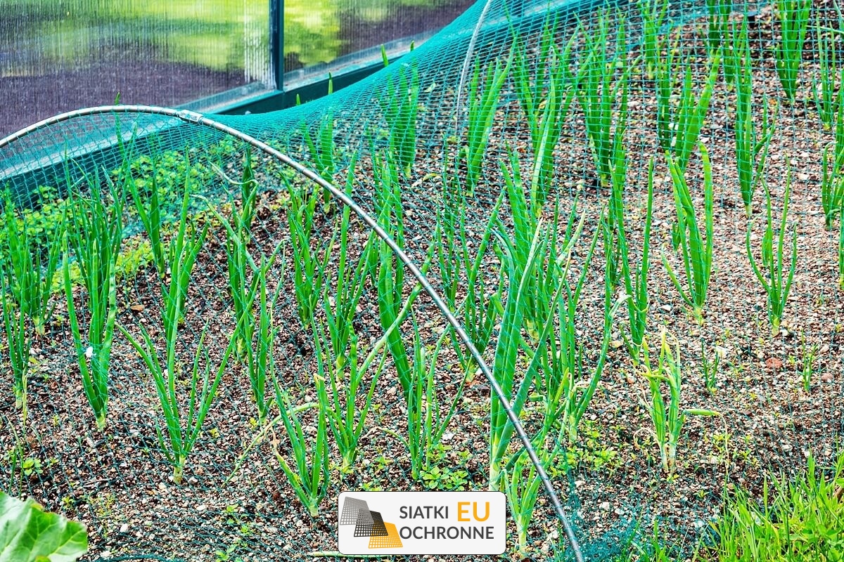   SiatkiOchronne.eu - Ochrona roślin uprawnych za pomocą siatki 