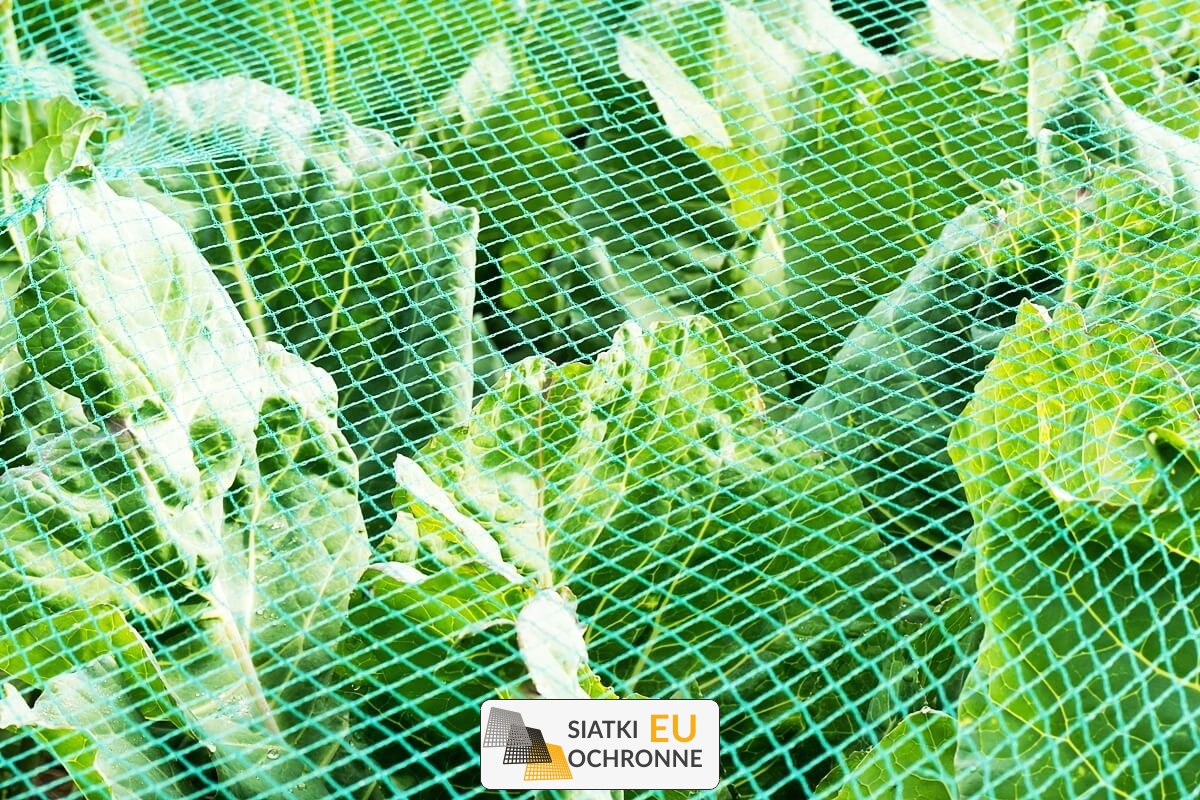 Bezpieczne zabezpieczenie dla Twoich upraw SiatkiOchronne.eu - Bezpieczne zabezpieczenie dla Twoich upraw
