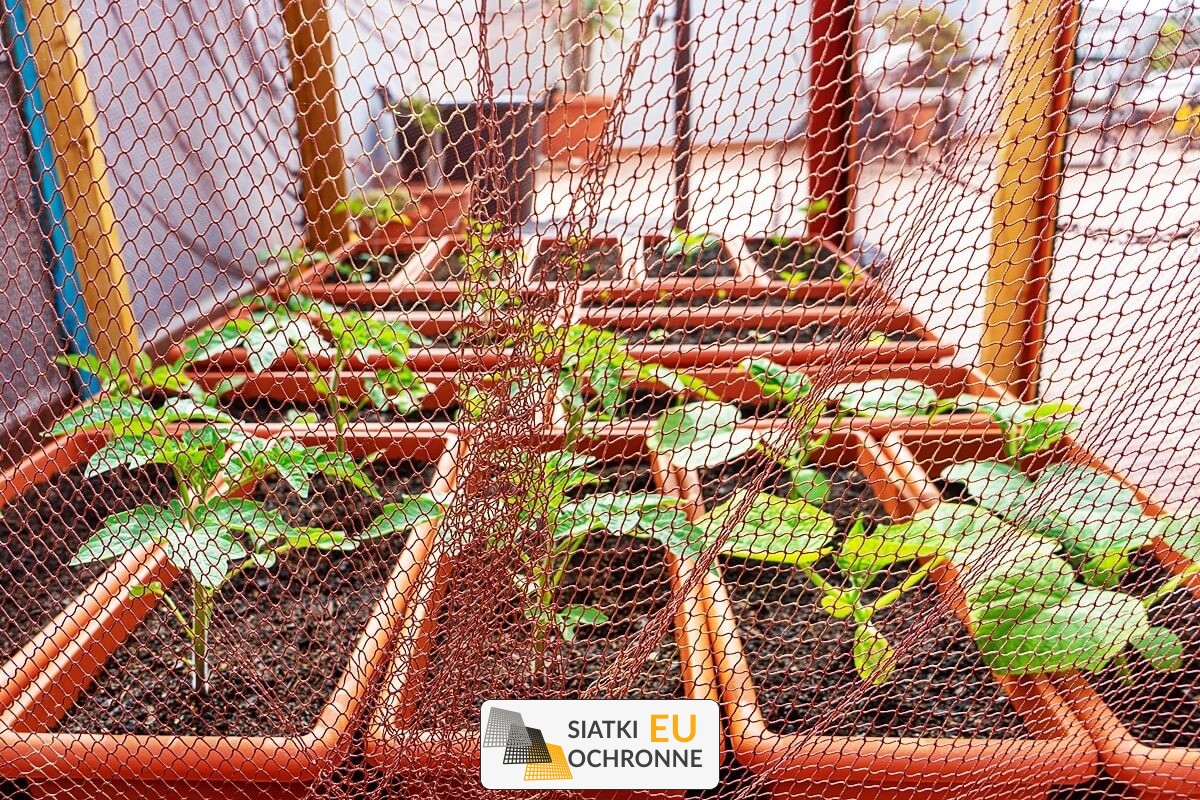Ochrona roślin uprawnych za pomocą siatki SiatkiOchronne.eu - Ochrona roślin uprawnych za pomocą siatki