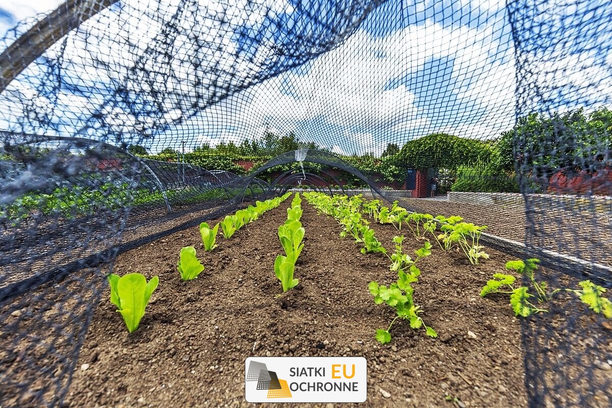   SiatkiOchronne.eu - Zabezpieczenie dla Twojej działki — gwarancja zdrowych upraw 