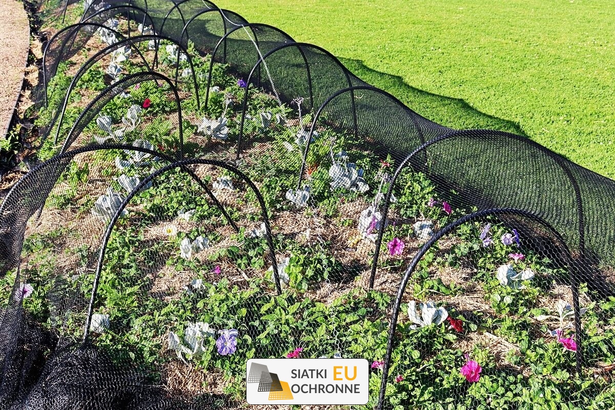 Ochrona roślin uprawnych za pomocą siatki SiatkiOchronne.eu - Ochrona roślin uprawnych za pomocą siatki