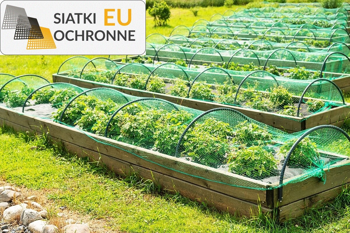   SiatkiOchronne.eu - Siatka ochronna harmonijna dla roślin o długości 6 metrów 