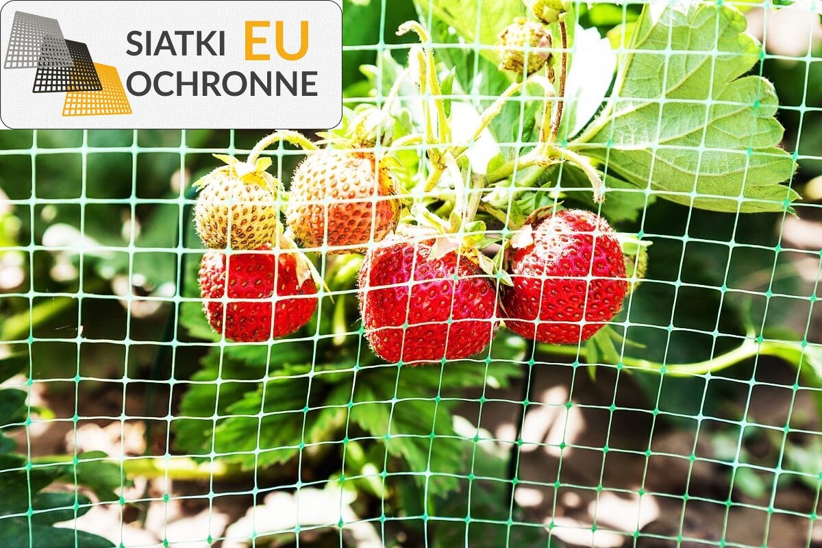 Idealne zabezpieczenie terenu — siatka sznurkowa do ogrodzenia SiatkiOchronne.eu - Idealne zabezpieczenie terenu — siatka sznurkowa do ogrodzenia