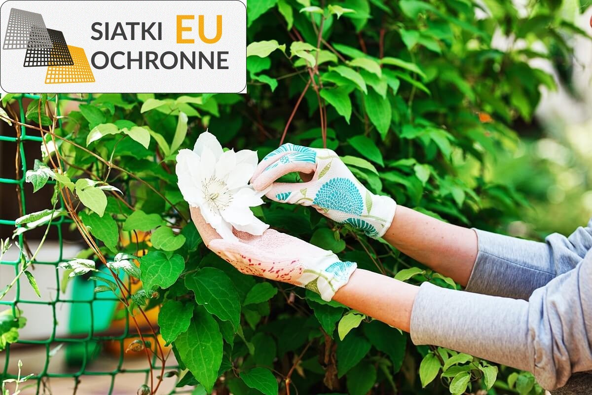 Siatka ochronna dla bezpieczeństwa domku na drzewie SiatkiOchronne.eu - Siatka ochronna dla bezpieczeństwa domku na drzewie