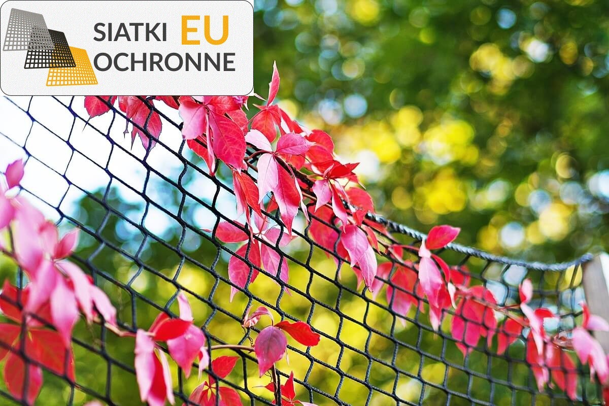 Ochronna siatka bezpieczeństwa na drzewo dla dzieci SiatkiOchronne.eu - Ochronna siatka bezpieczeństwa na drzewo dla dzieci