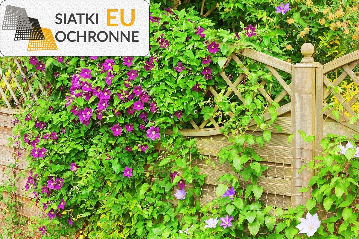 Siatka sznurkowa zabezpieczająca Twój domowy ogród SiatkiOchronne.eu - Siatka sznurkowa zabezpieczająca Twój domowy ogród