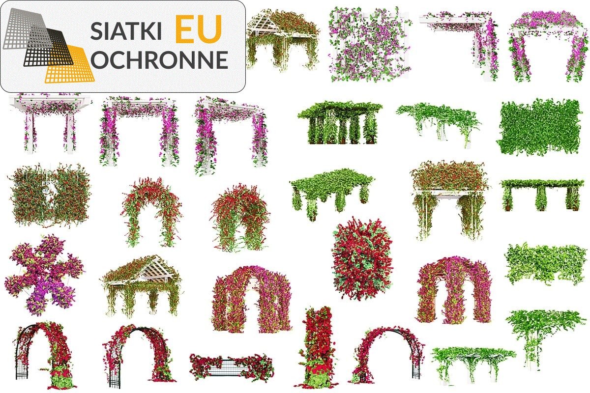   SiatkiOchronne.eu - Siatka do porastania ścian: zieleń, która zdobi   Siatka dla roślin ściennej: zielony akcent w Twoim domu 