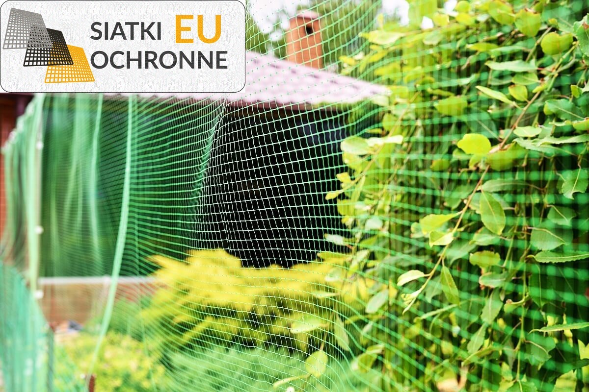   SiatkiOchronne.eu - Ożyw swoje wnętrze zielenią — wykorzystaj siatkę do tworzenia pionowych ogrodów 