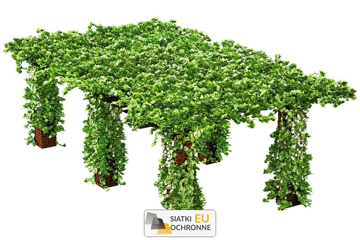  SiatkiOchronne.eu - Budowy zielonej ściany z siatki 