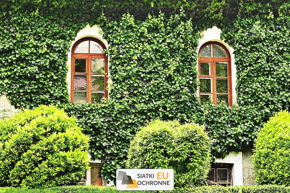  SiatkiOchronne.eu - Budowy zielonej ściany z siatki 