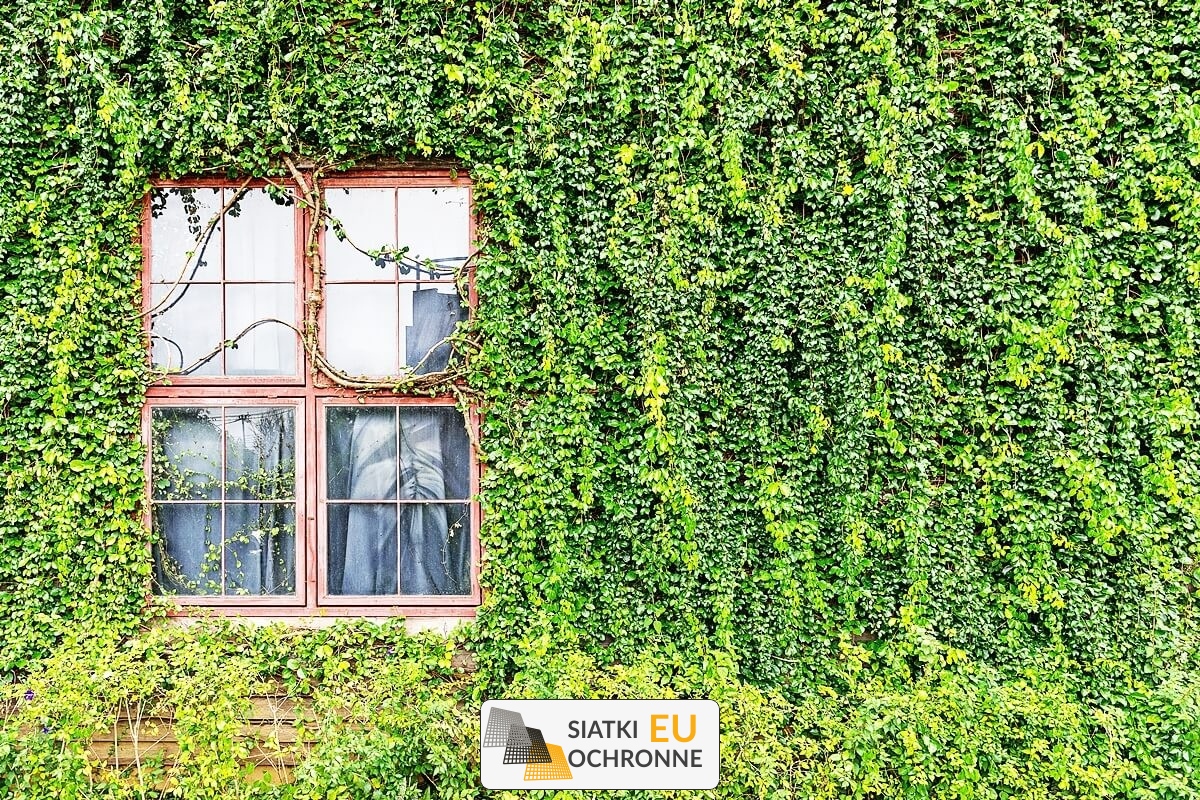  SiatkiOchronne.eu - Ozdobienie ogrodu 