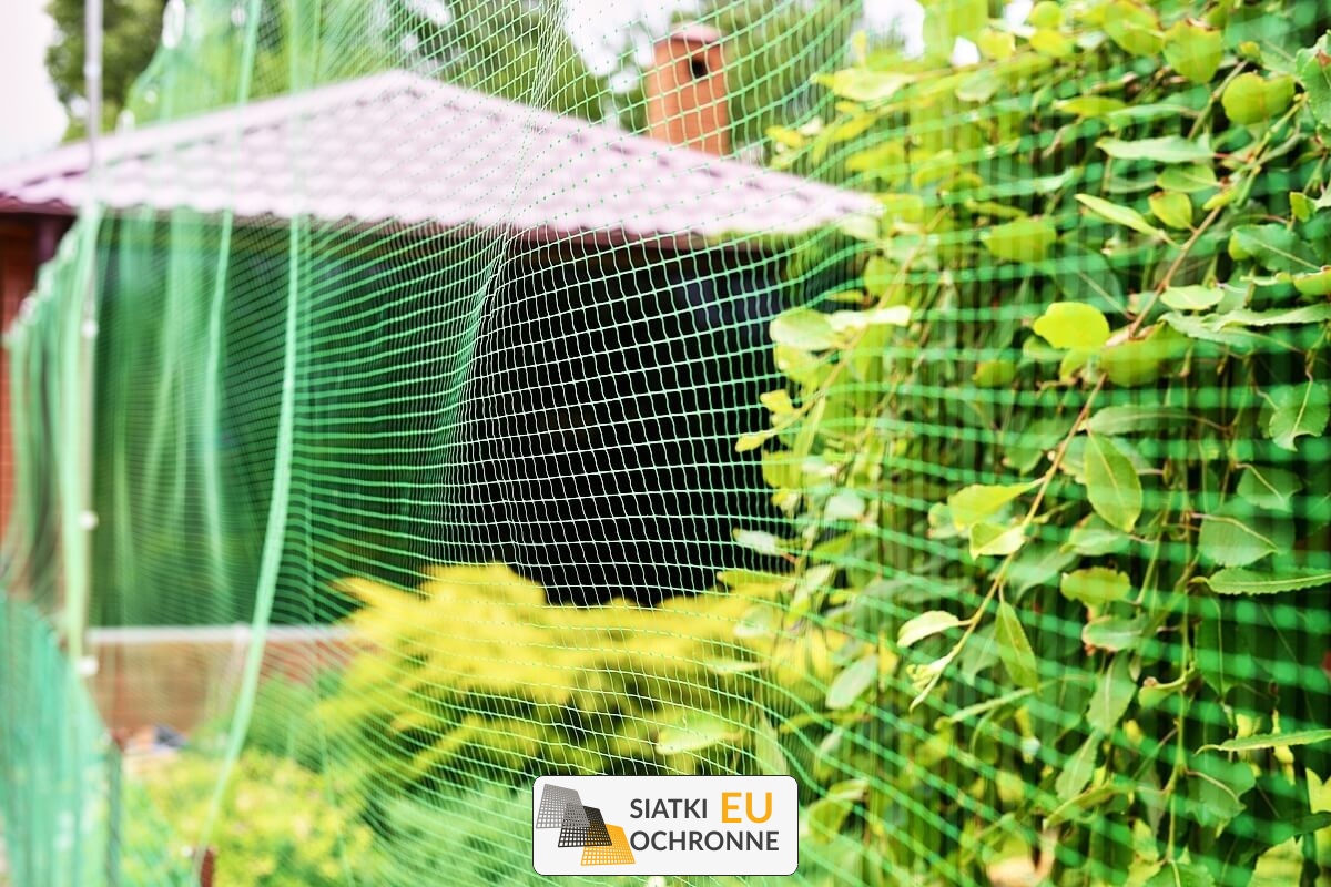   SiatkiOchronne.eu - Siatki ekologiczne na tworzenie zielonych ścian 
