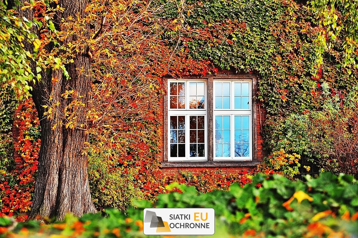  SiatkiOchronne.eu - Budowa trejaży z siatki 