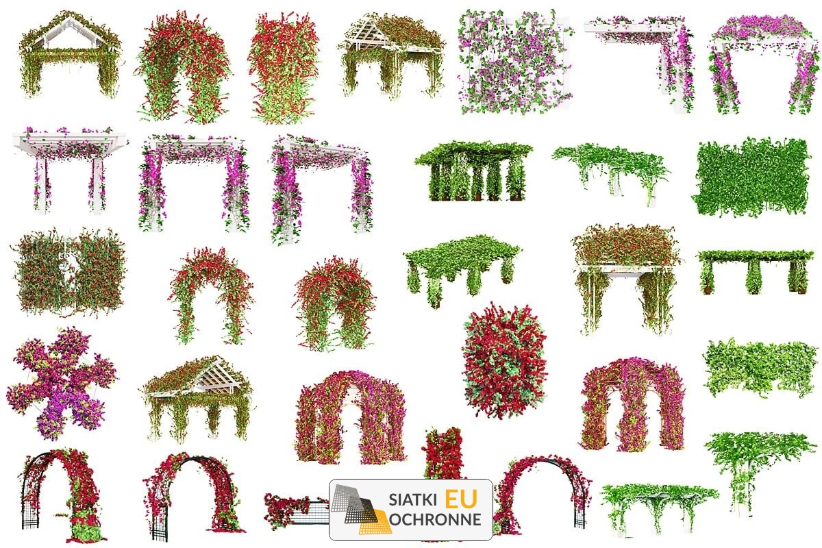 Twoja pergola w otoczeniu natury: siatka wspierająca rośliny Siatka do roślin porastających: krok bliżej do natury SiatkiOchronne.eu - Twoja pergola w otoczeniu natury: siatka wspierająca rośliny Siatka do roślin porastających: krok bliżej do natury