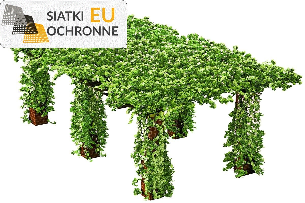   SiatkiOchronne.eu - Siatka podwieszana - idealna ochrona dla Twojej przestrzeni ogrodowej 