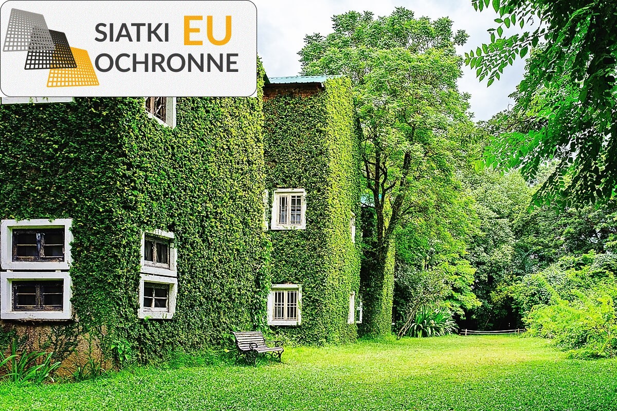   SiatkiOchronne.eu - Podwieszana siatka łącząca niecodzienną estetykę z praktycznością, doskonała dla entuzjastów unikalnych rozwiązań 