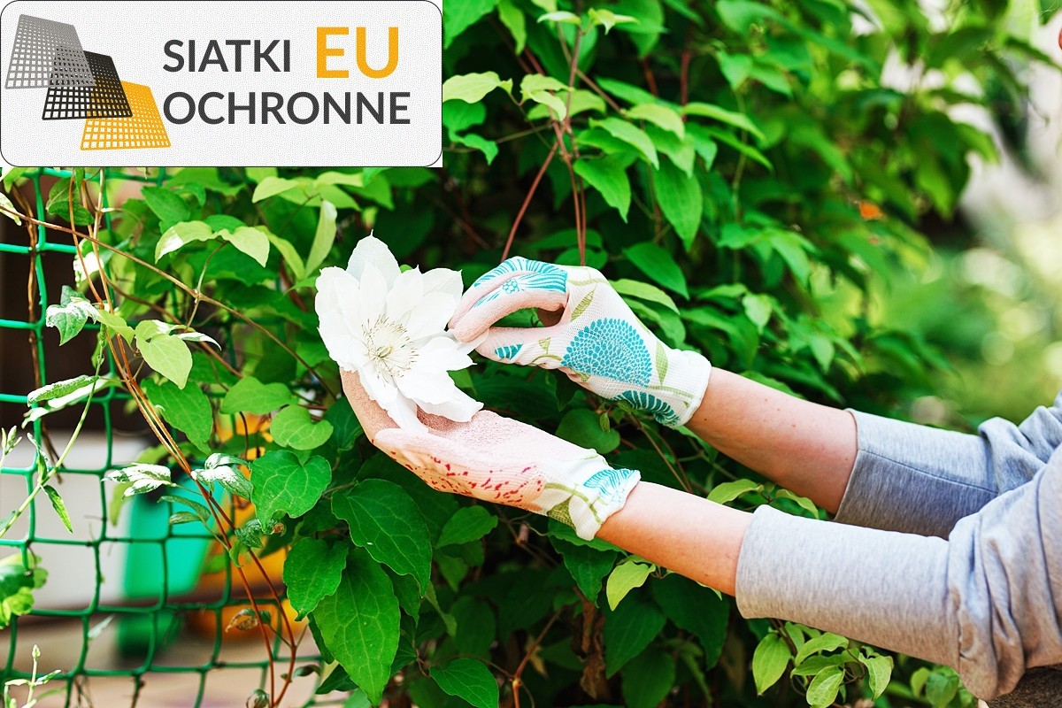 Bezpieczna i stabilna siatka do zabezpieczenia terenu wokół domu SiatkiOchronne.eu - Bezpieczna i stabilna siatka do zabezpieczenia terenu wokół domu